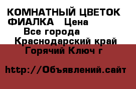 КОМНАТНЫЙ ЦВЕТОК -ФИАЛКА › Цена ­ 1 500 - Все города  »    . Краснодарский край,Горячий Ключ г.